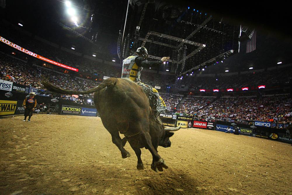 bull riding events
