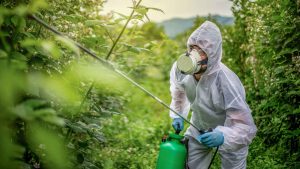 What Are the Benefits of Professional Pest Control?